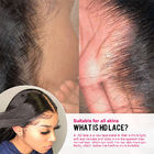 흑인여성을 위한 250% 밀도 13x6 HD 레이스 정면 가발 뼈 곧은 사람의 머리카락